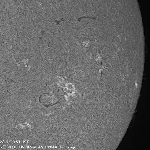 2月15日の太陽面