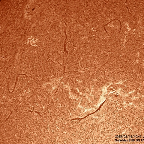 2月16日の太陽面