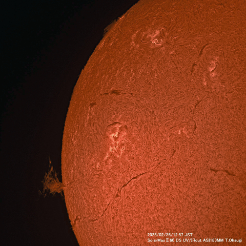 2月25日の太陽面