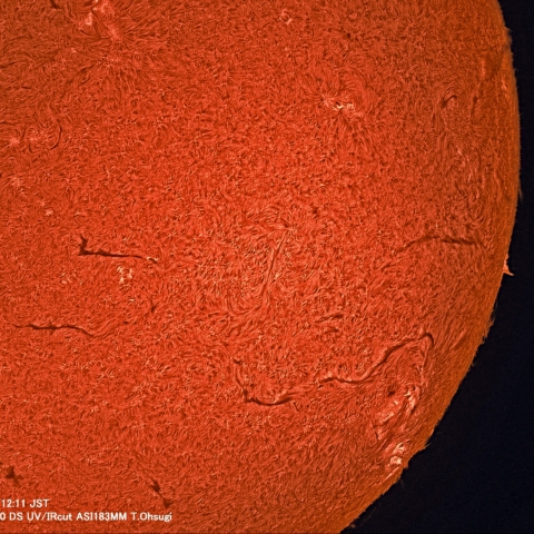 2月27日の太陽面