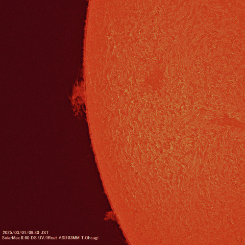 3月01日の太陽面