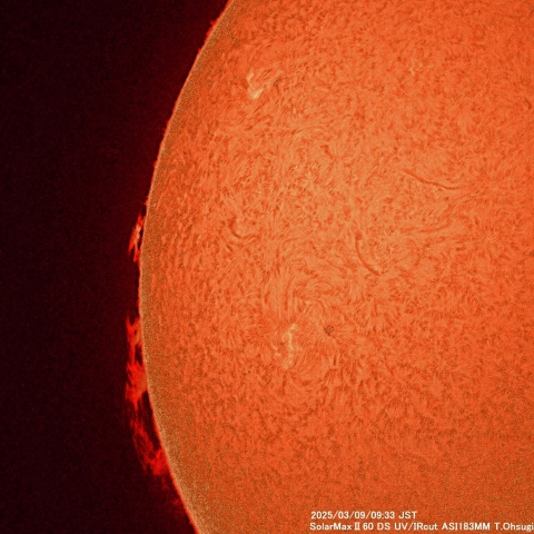 3月9日の太陽面