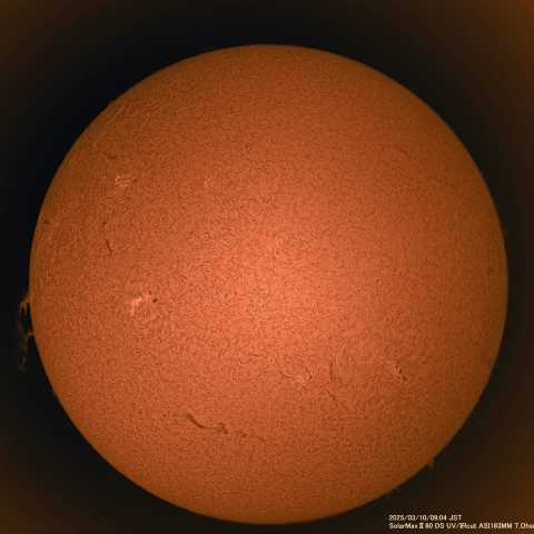 3月10日の太陽面