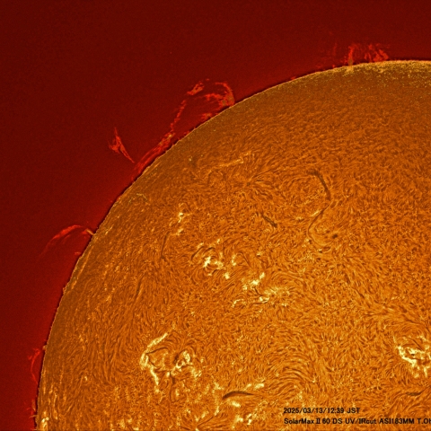 3月13日の太陽面