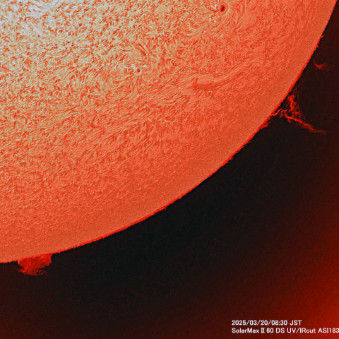 3月20日の太陽面