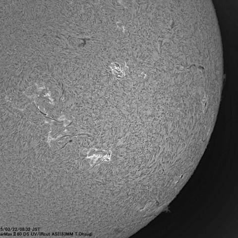 3月22日の太陽面