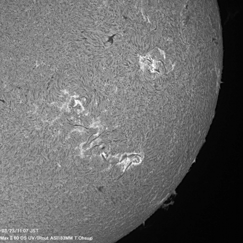 3月23日の太陽面