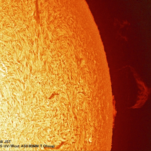 3月25日の太陽面