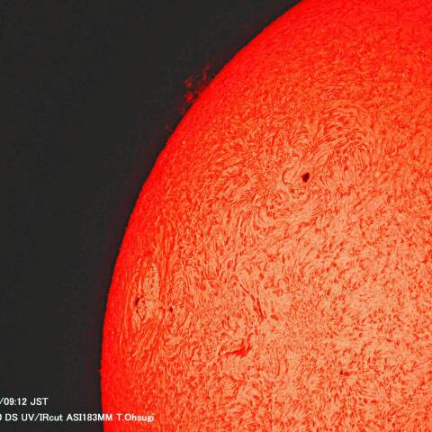 3月31日の太陽面