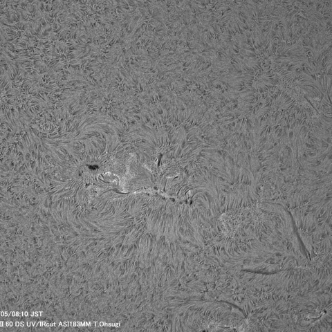 4月5日の太陽面