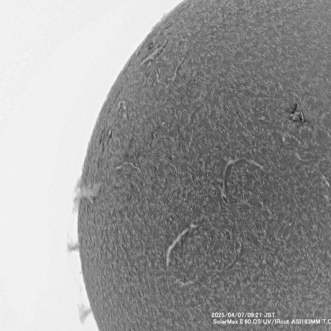 4月7日の太陽面