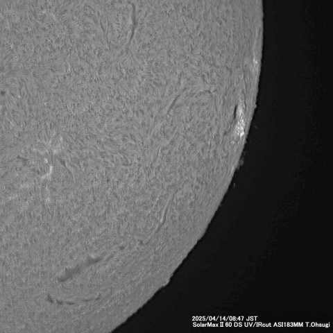 4月14日の太陽面