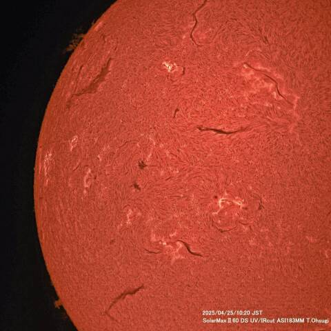4月25日の太陽面