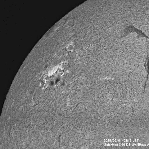 5月1日の太陽面