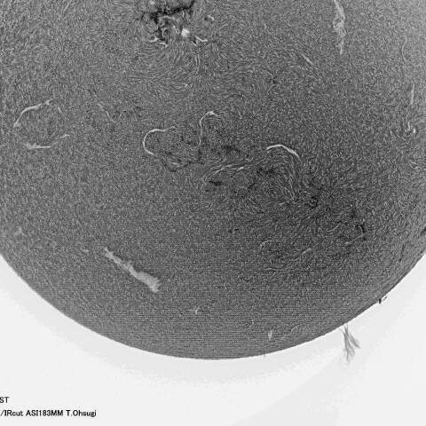 5月4日の太陽面