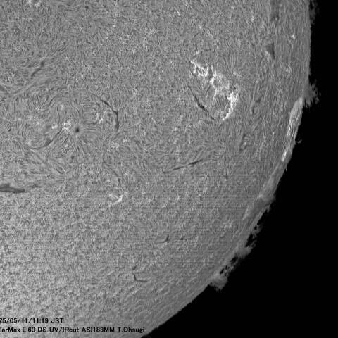 5月11日の太陽面