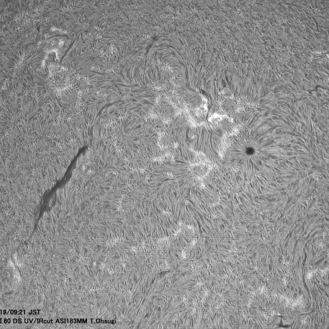 5月19日の太陽面