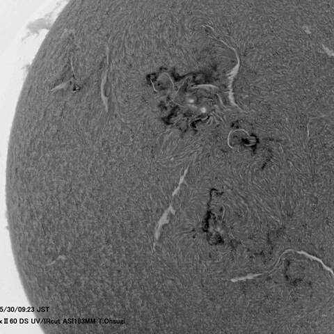 5月30日の太陽面