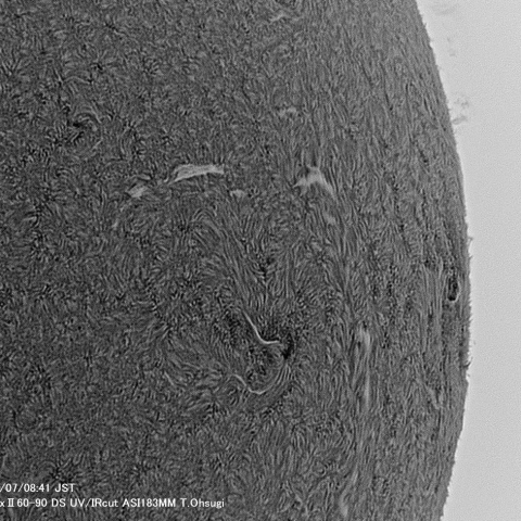 6月7日の太陽面