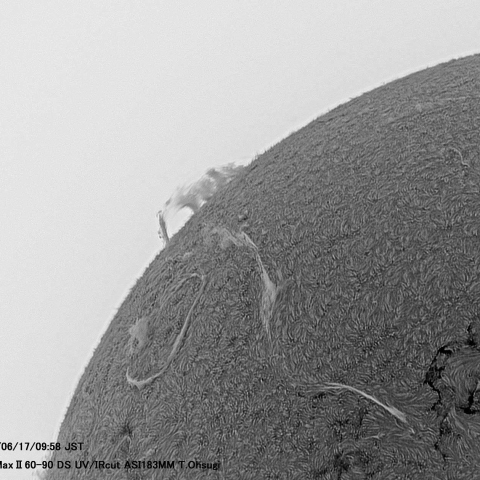 6月17日の太陽面