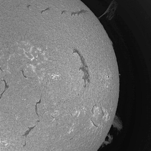 6月29日の太陽面