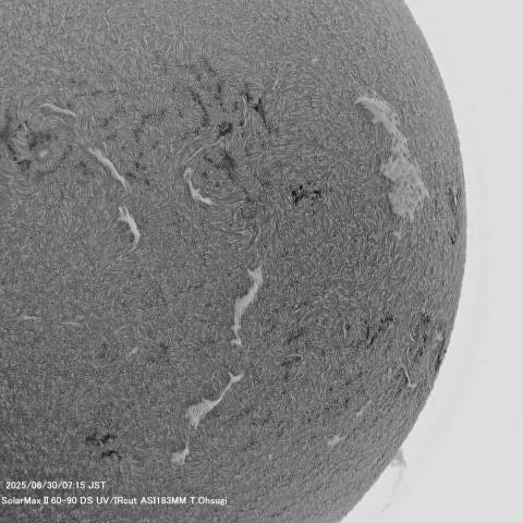 6月30日の太陽面
