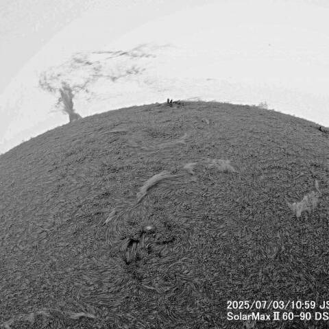 ７月3日の太陽面