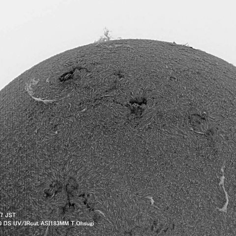 ７月7日の太陽面