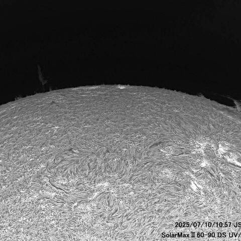 ７月10日の太陽面