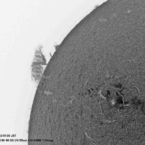 ７月13日の太陽面