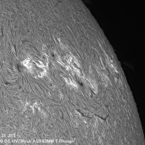 ７月20日の太陽面