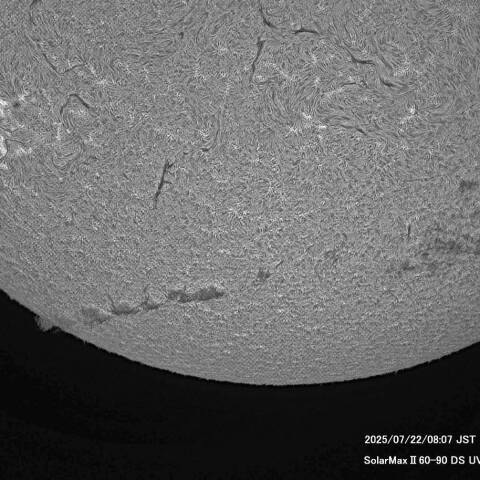 ７月22日の太陽面