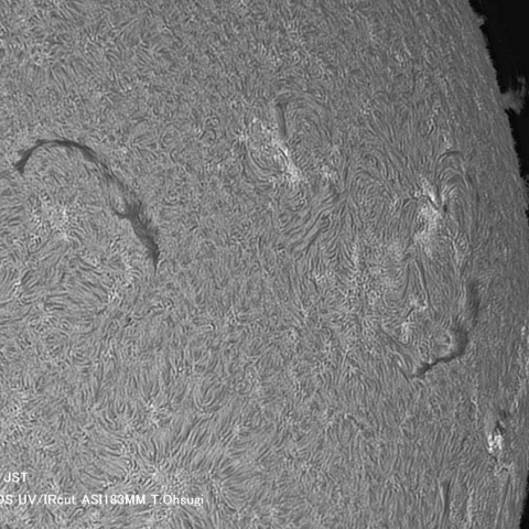 ７月23日の太陽面