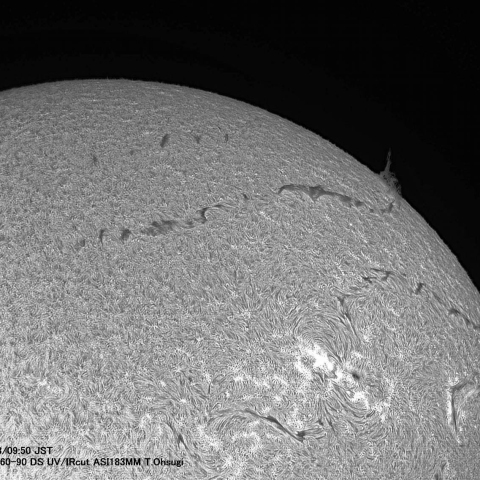 ７月28日の太陽面