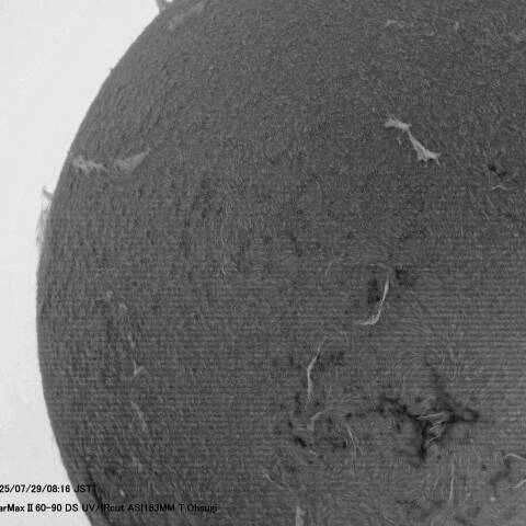 ７月29日の太陽面