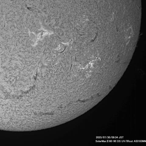 ７月30日の太陽面