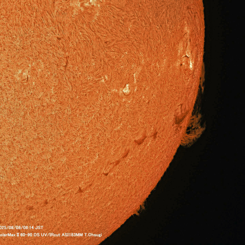 8月8日の太陽面