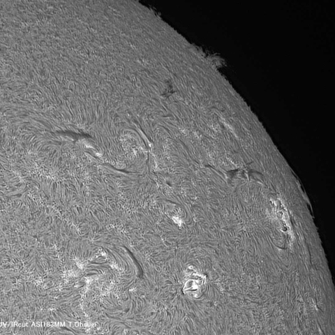 8月16日の太陽面