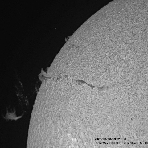 8月18日の太陽面