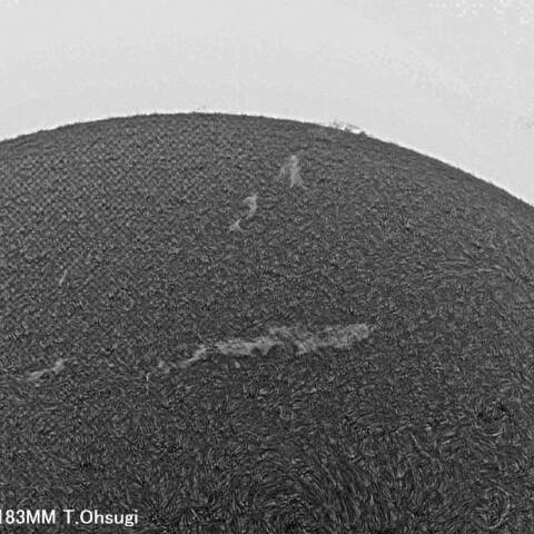 8月23日の太陽面