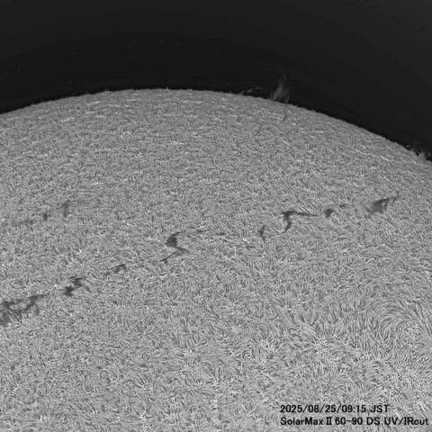 8月25日の太陽面
