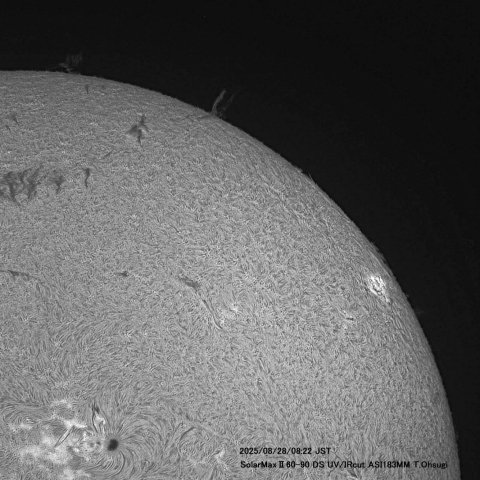 8月28日の太陽面