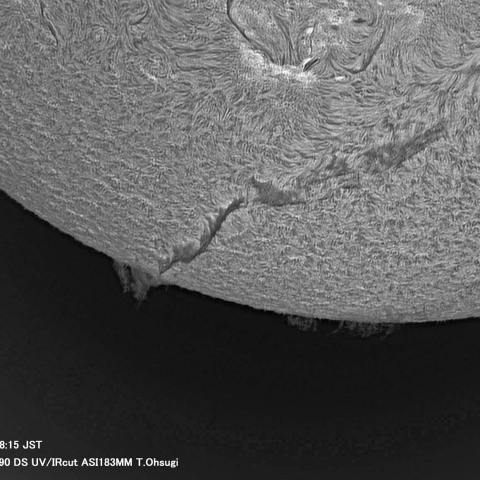 8月30日の太陽面