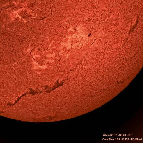 8月31日の太陽面