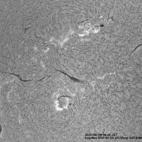 9月6日の太陽面