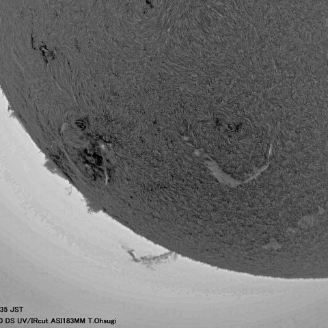 9月16日の太陽面