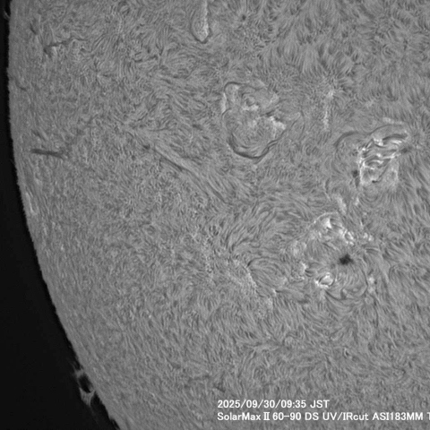 9月30日の太陽面