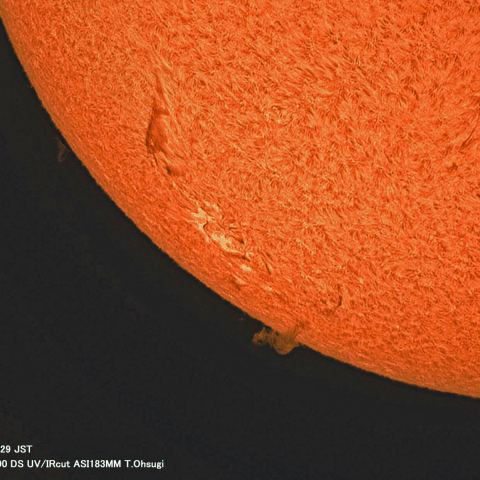 10月6日の太陽面