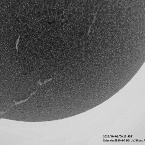 10月9日の太陽面