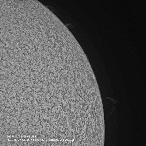 11月08日の太陽面
